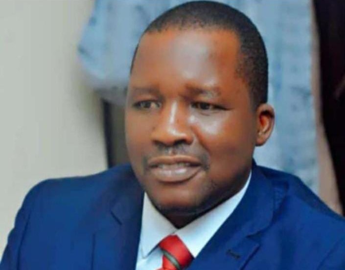 Portrait of Dr. Usman Muhammad Shanawa, Member